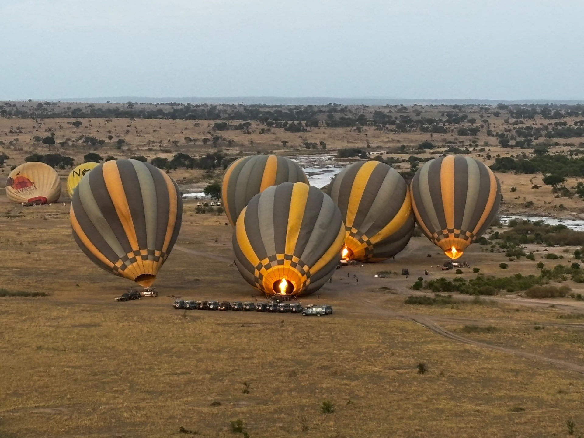 Hot air balloons over savannah